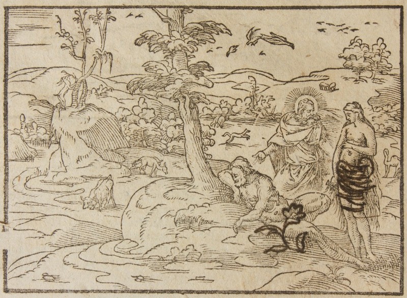 <p>Le paradis terrestre dans une Bible du XVII<sup>e</sup> siècle</p>