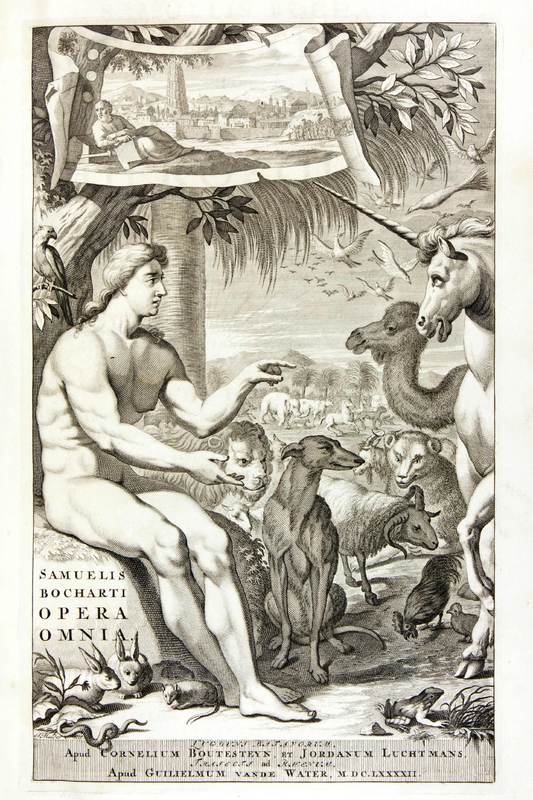 <p>Adam au Jardin d’Éden</p>