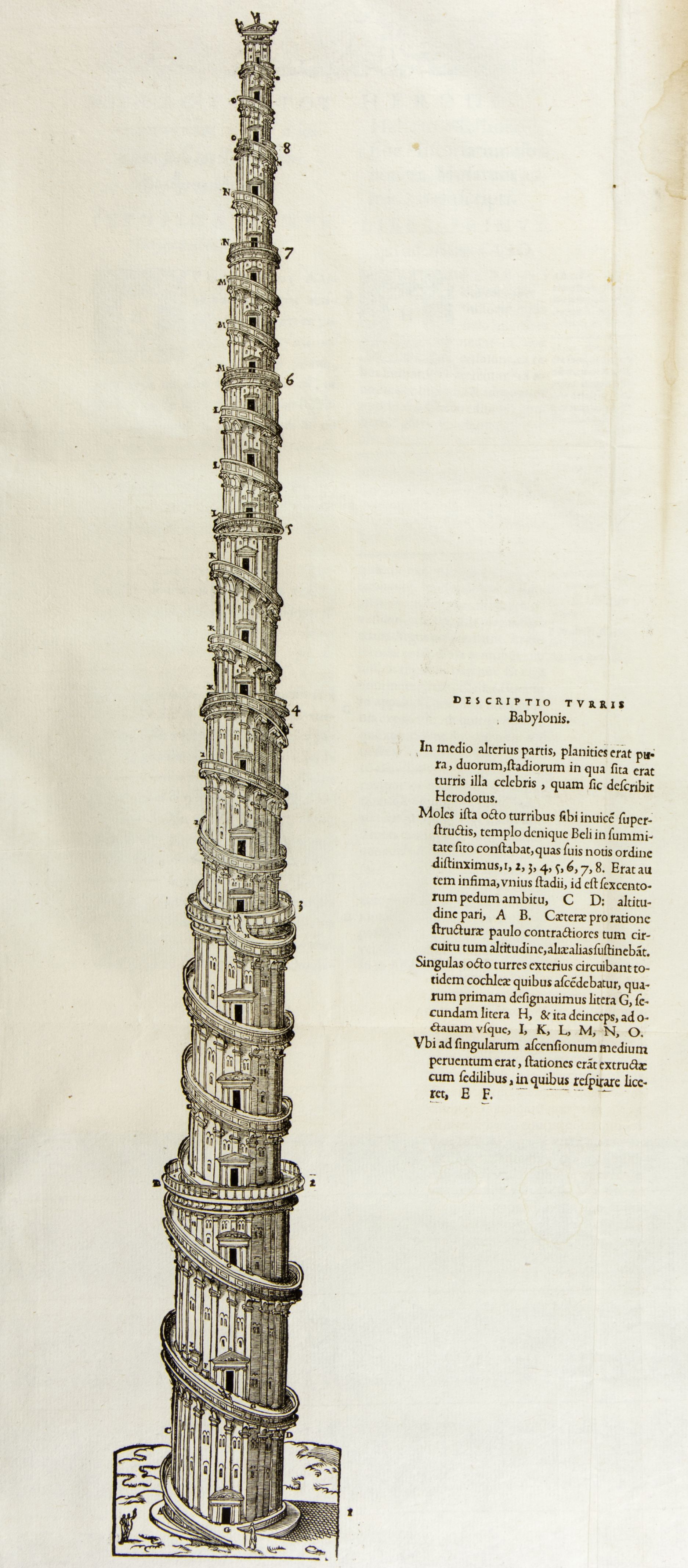 XVIg-1545_005_1.jpg