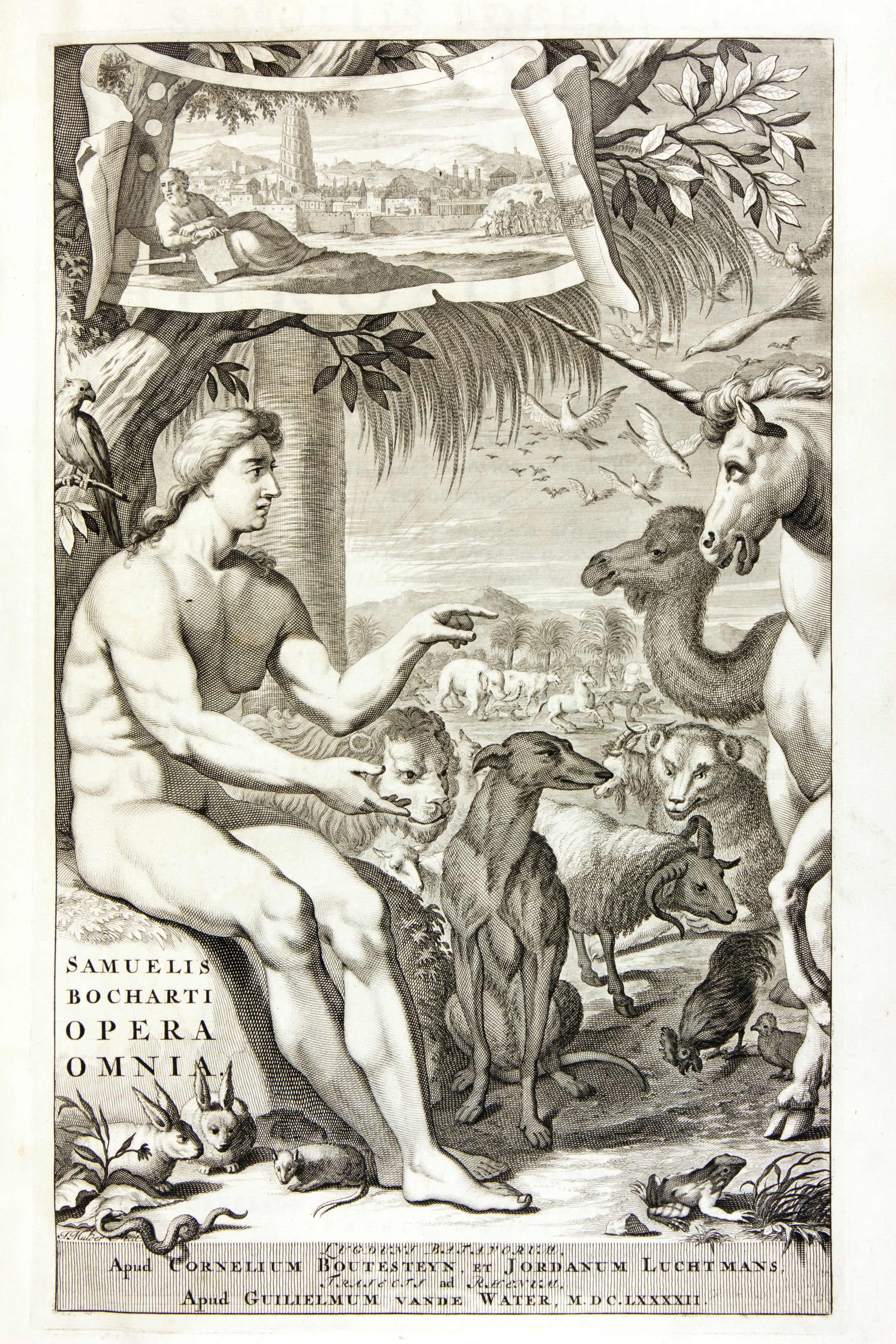 Ag-40(1)_001_1.jpg