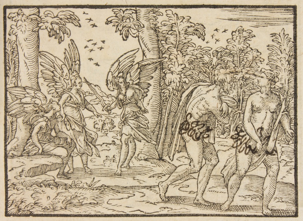 XVI 1313_004.JPG