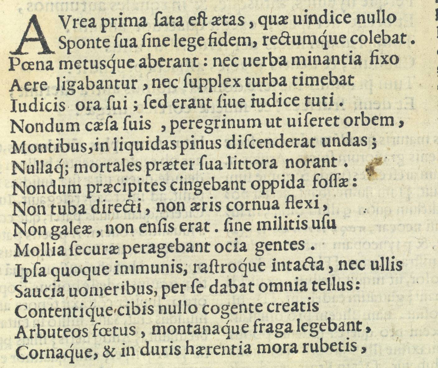 XVIg 1646_001.jpg XVIg 1646_001.jpg