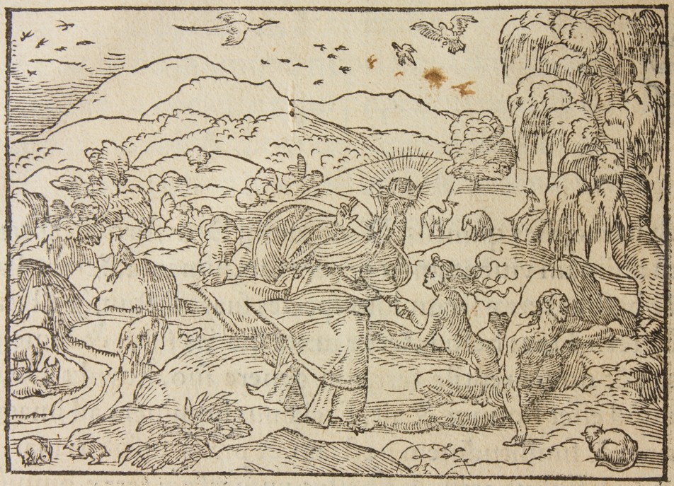 XVIg 1341_001.JPG XVIg 1341_001.JPG