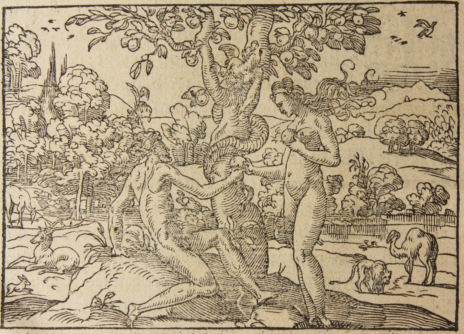 XVIg 1341_002.JPG XVIg 1341_002.JPG